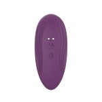 리모콘 줌 아웃 외출용 성인 취향 여성용품 착용 여성 클라이맥스 자위기 가짜 닭 진동봉