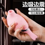 흡음기 음핵 가슴빨래기 여성용 자위기 진동봉 AV 성인용품